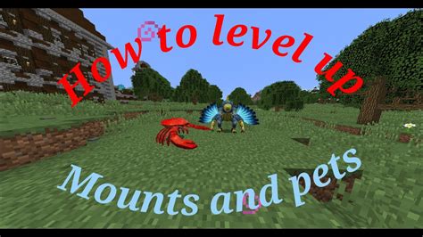 In RLCraft, you need to level up certain skills in order to use some items and carry out basic tasks. . How to level up pets in rlcraft